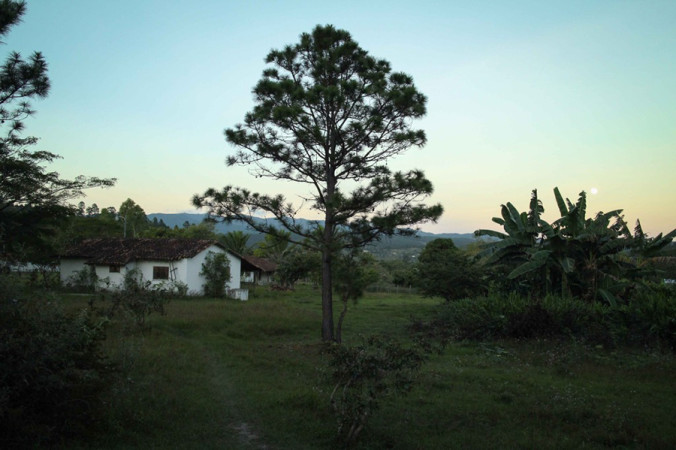 Zambrano in Honduras