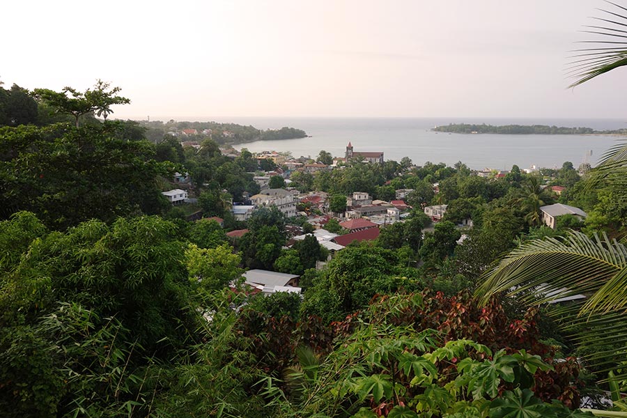 mango-ridge-port-antonio-jamaica-2_road-affair
