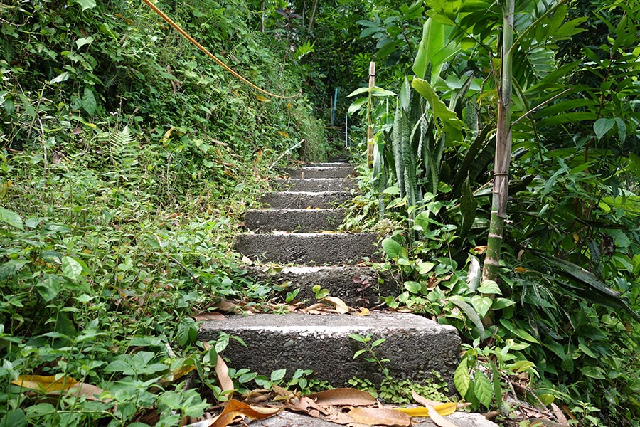 mango-ridge-port-antonio-jamaica-3_road-affair