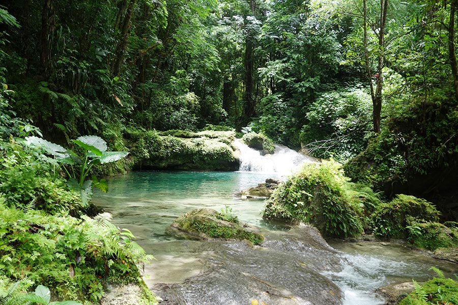 reach-falls-port-antonio-jamaica-11_road-affair