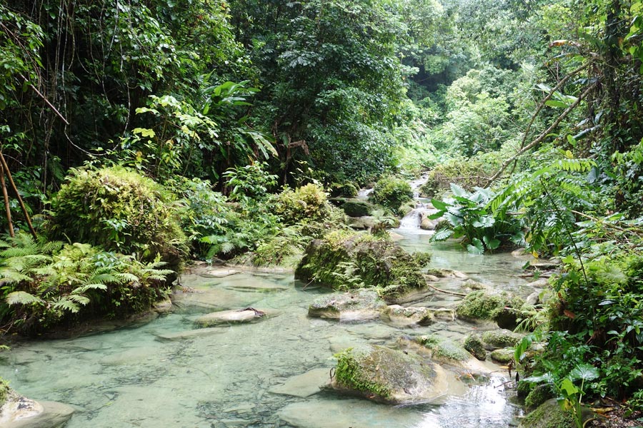 reach-falls-port-antonio-jamaica-4_road-affair