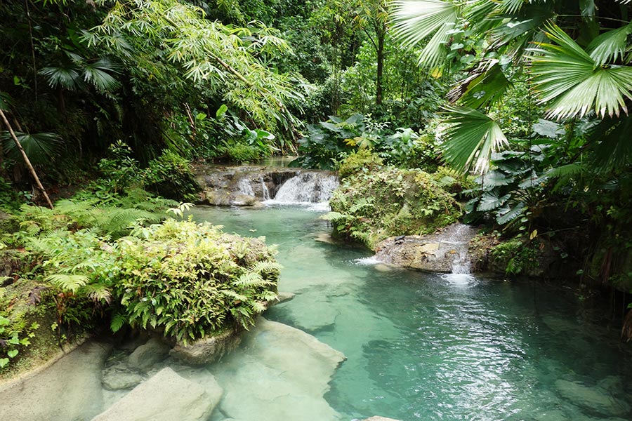 Reach Falls in Port Antonio