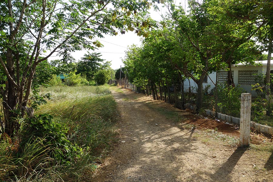 treasure-beach-jamaica-1_road-affair