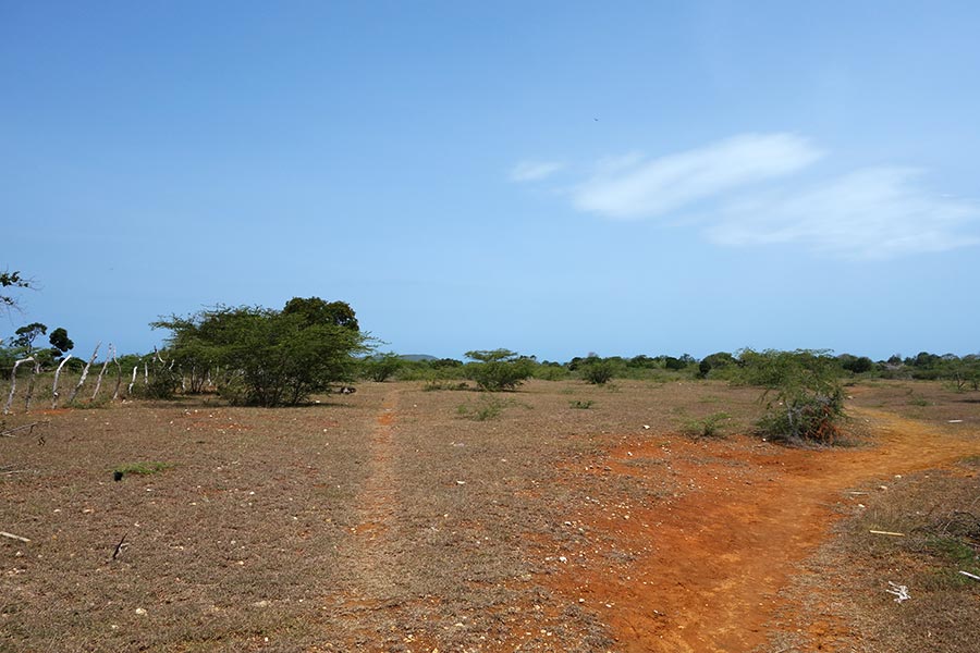 treasure-beach-jamaica-4_road-affair