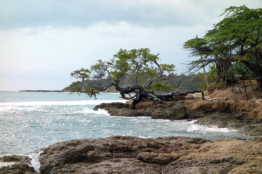 treasure-beach-jamaica-7_road-affair
