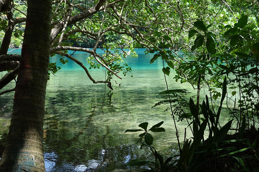 The famous Blue Lagoon in Port Antonio, Jamaica