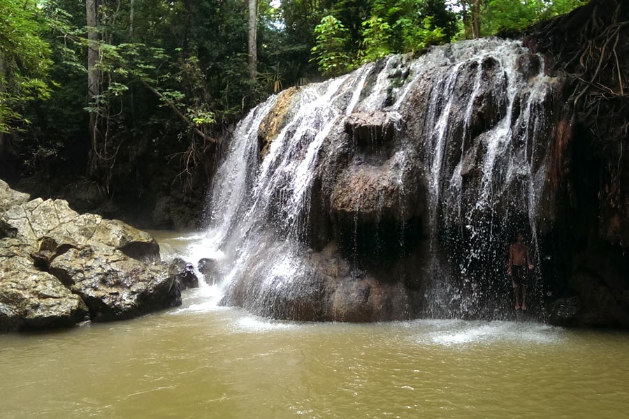 Finca Paraiso in Guatemala