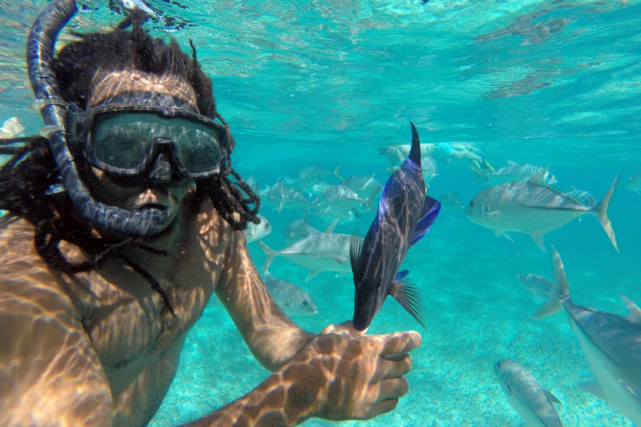 Colorful fish at Hol Chan Marine Reserve in Belize