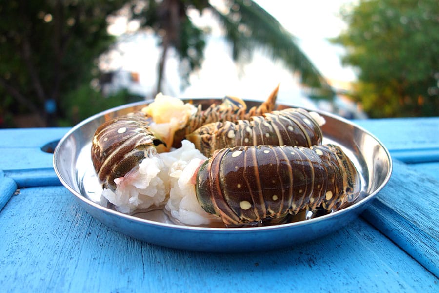 Lobster Tails