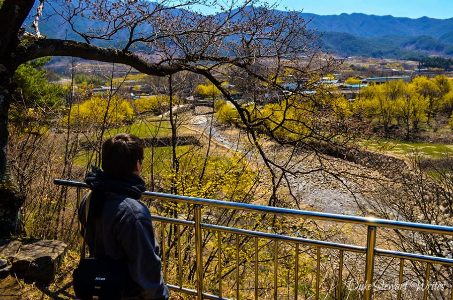 teach english in korea and experience the country to its fullest