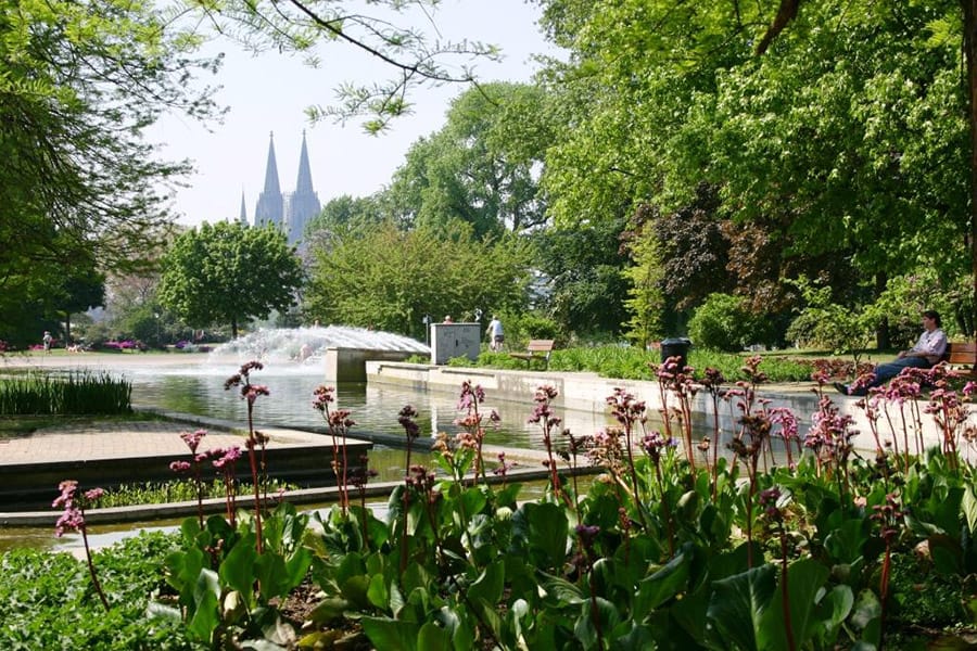 Rheinpark in Cologne