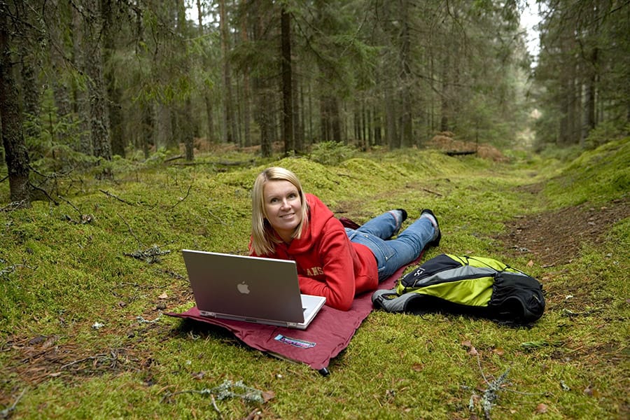 Internet in the forest in Estonia