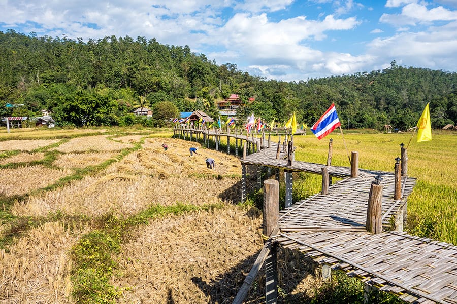 Su Thong Pae, a bamboo bridge in Pai Thailand