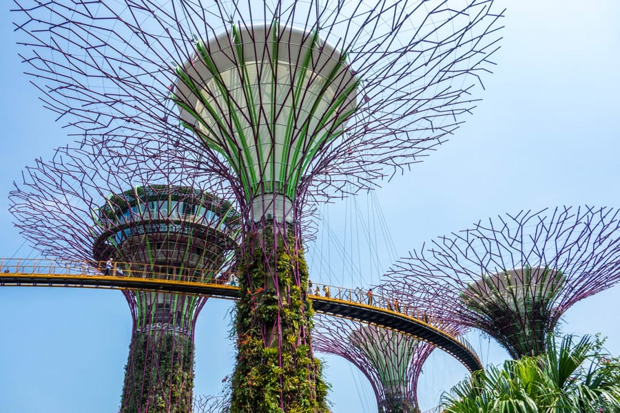 Supertrees at the Gardens by the Bay in Singapore