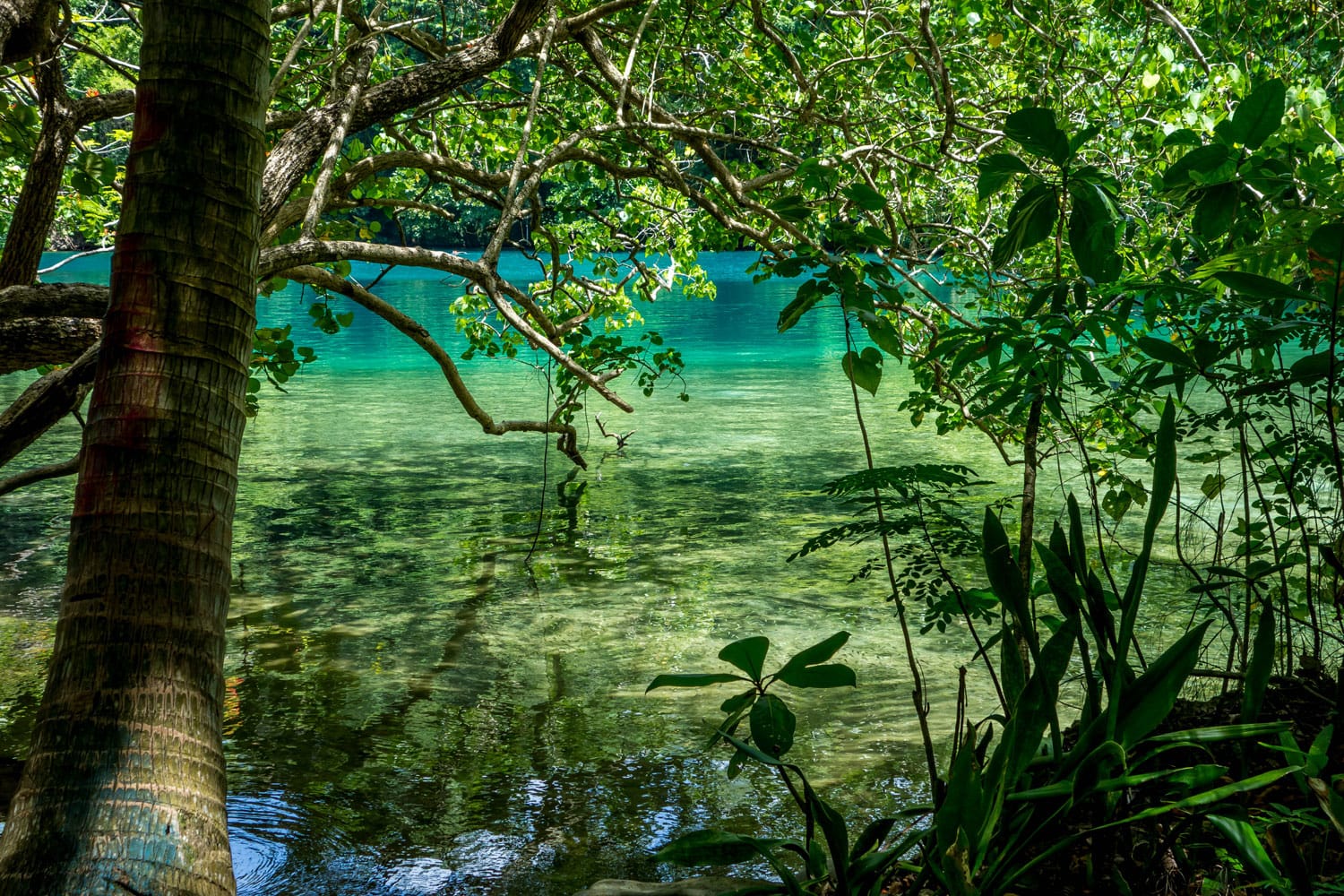 Blue Lagoon in Portland, Jamaica