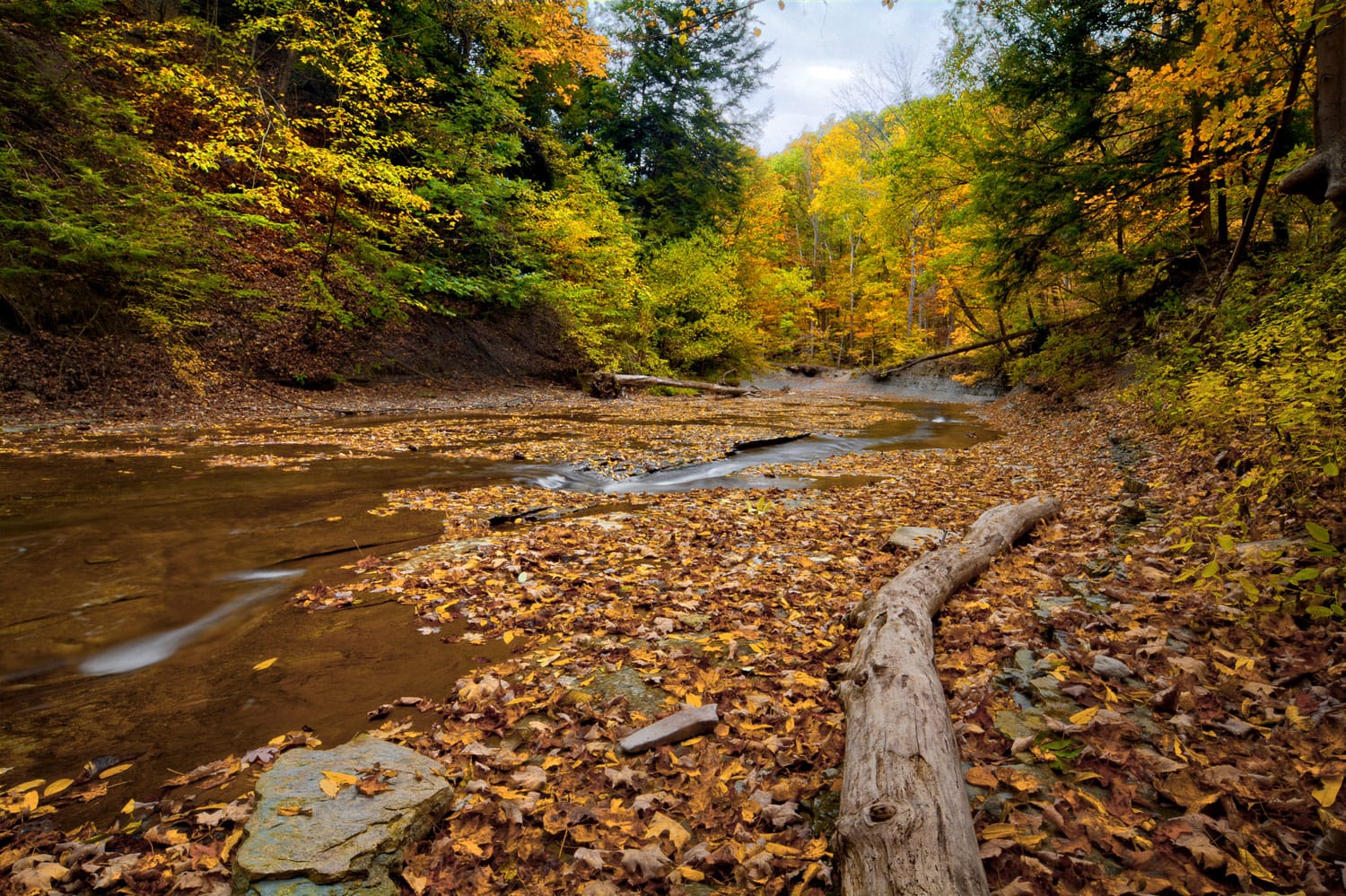 A scenic view along Brandywine Creek in Cuyahoga Valley National Park Ohio.