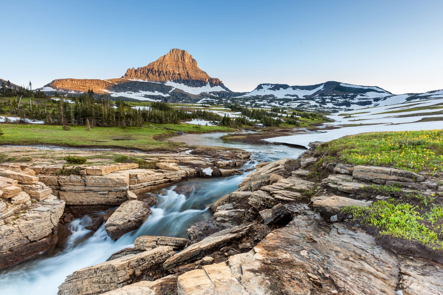 Logan Pass, Glacier National Park, MT