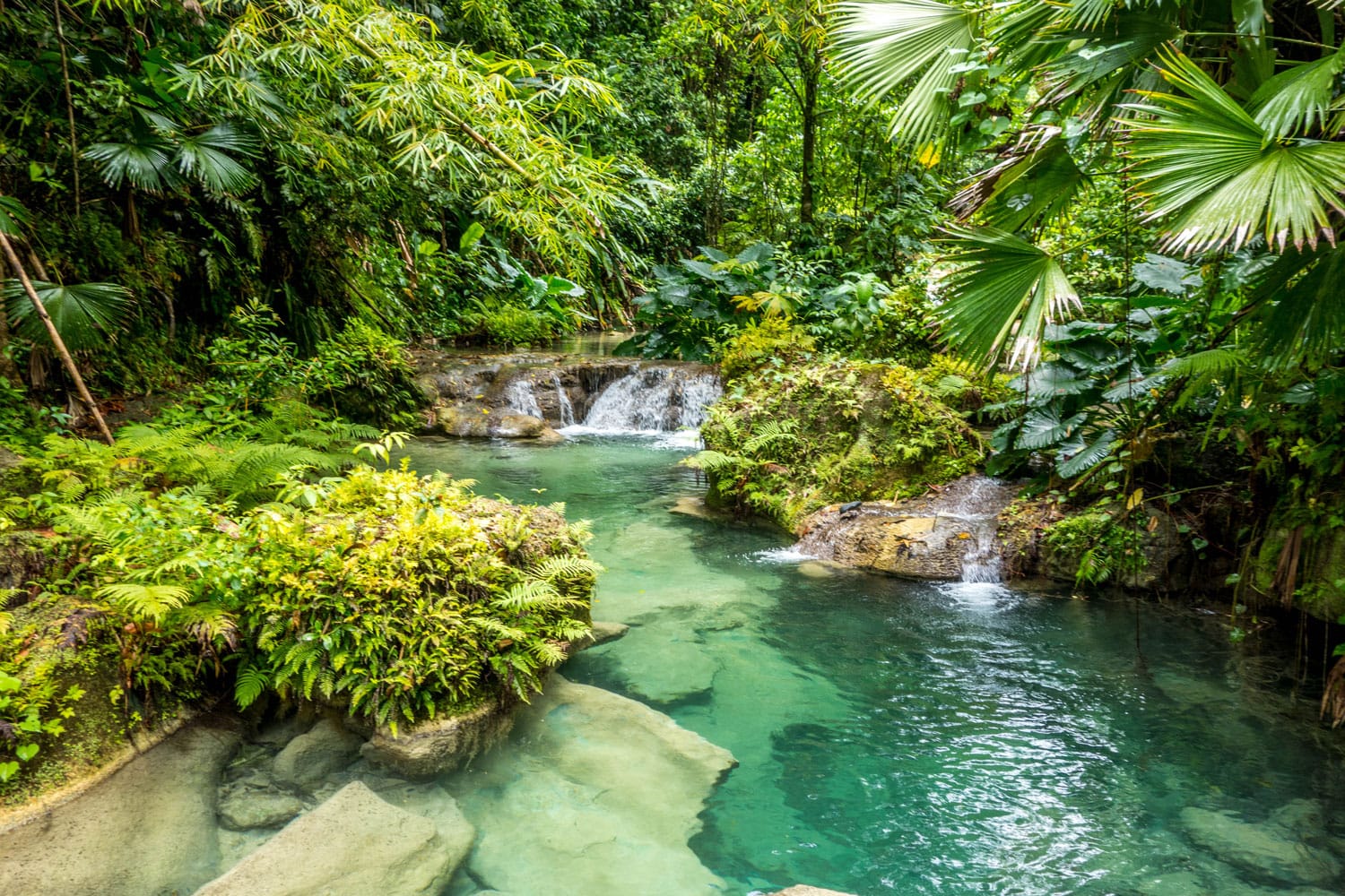 Reach Falls in Portland, Jamaica