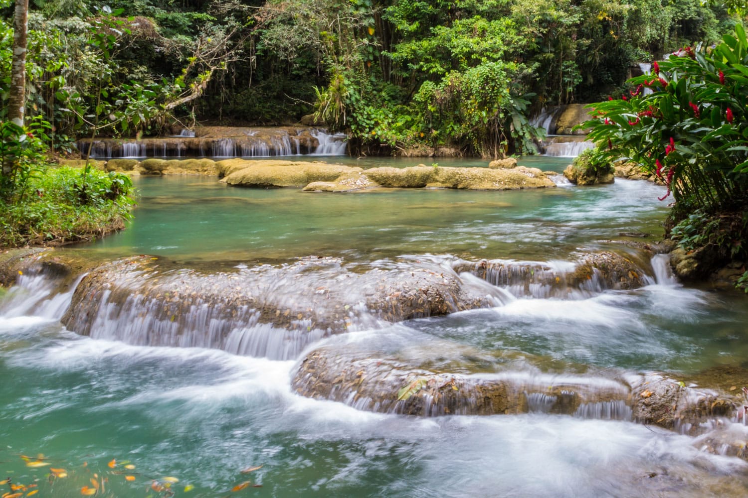 The lower pool from the waterfall at Y S Falls, Jamaica
