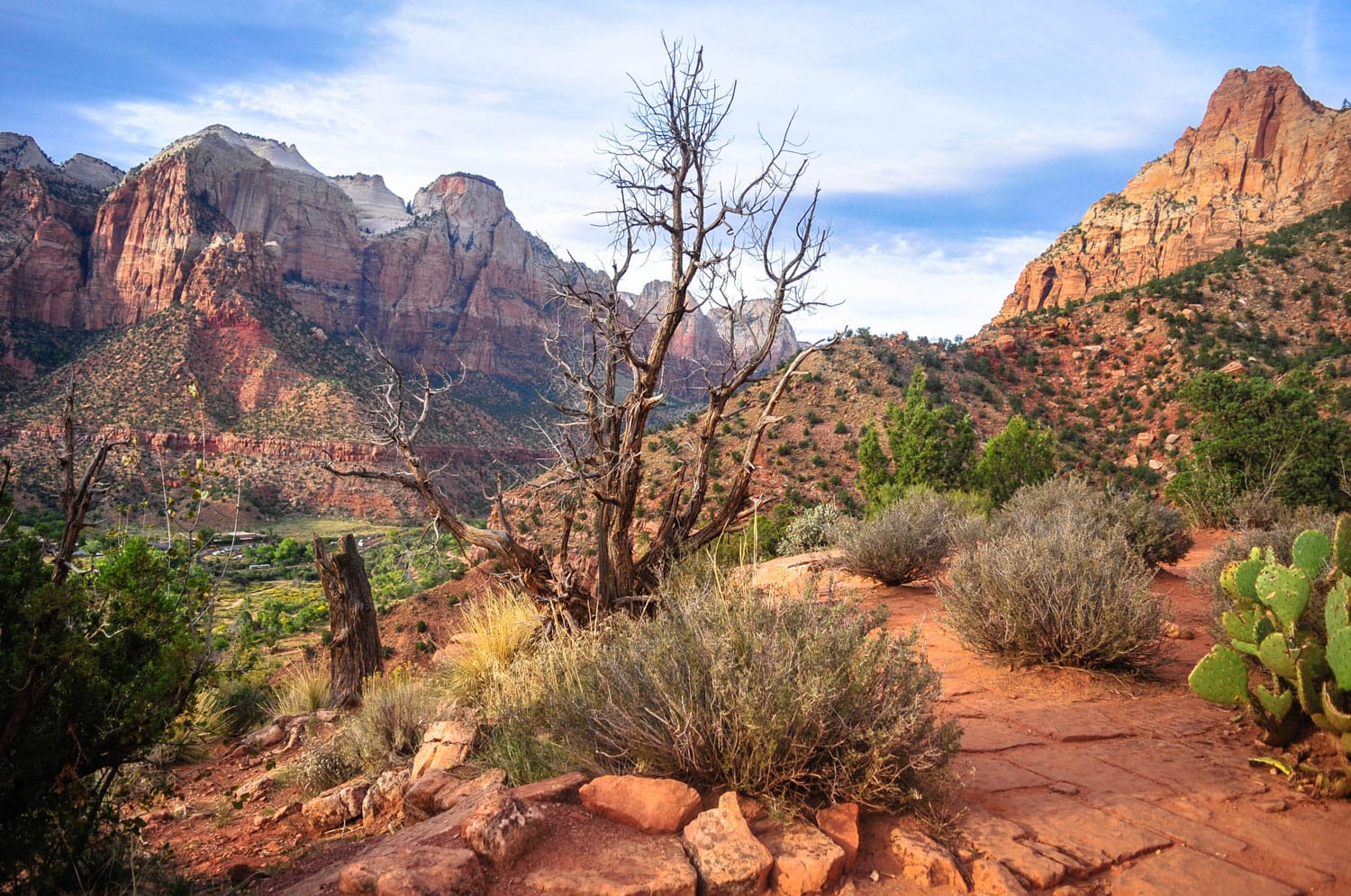 Zion National Park, Utah, USA
