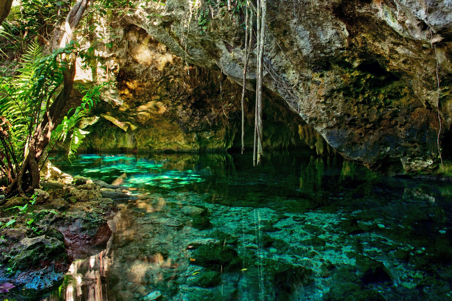 The Gran Cenote in Mexico