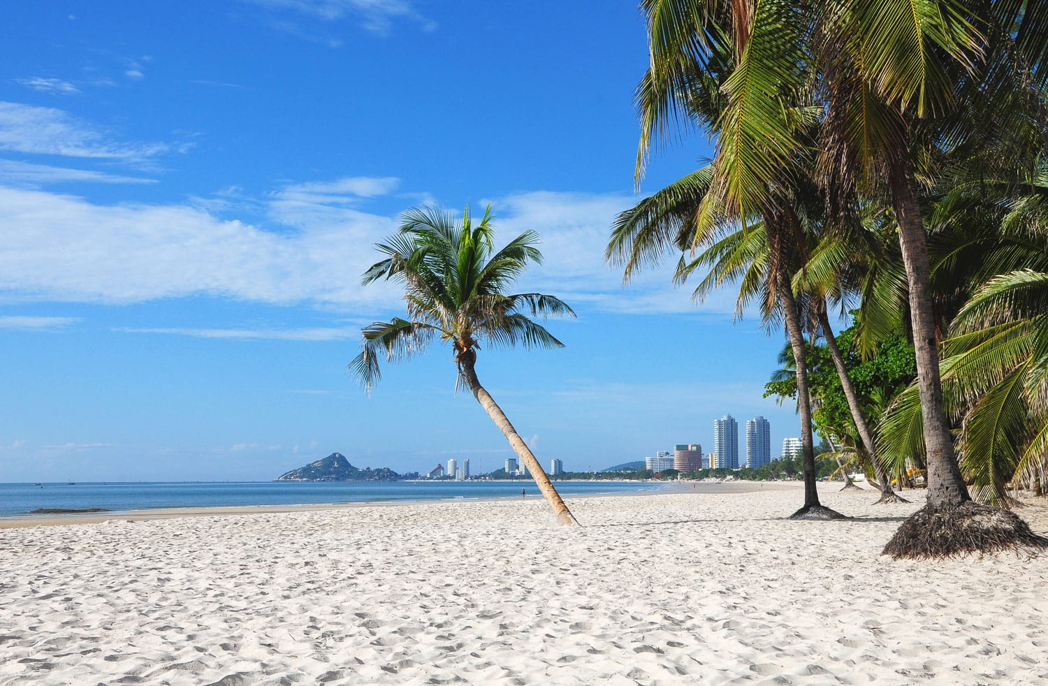 Coconut palm and white sand on the beach,Hua Hin beach Thailand.