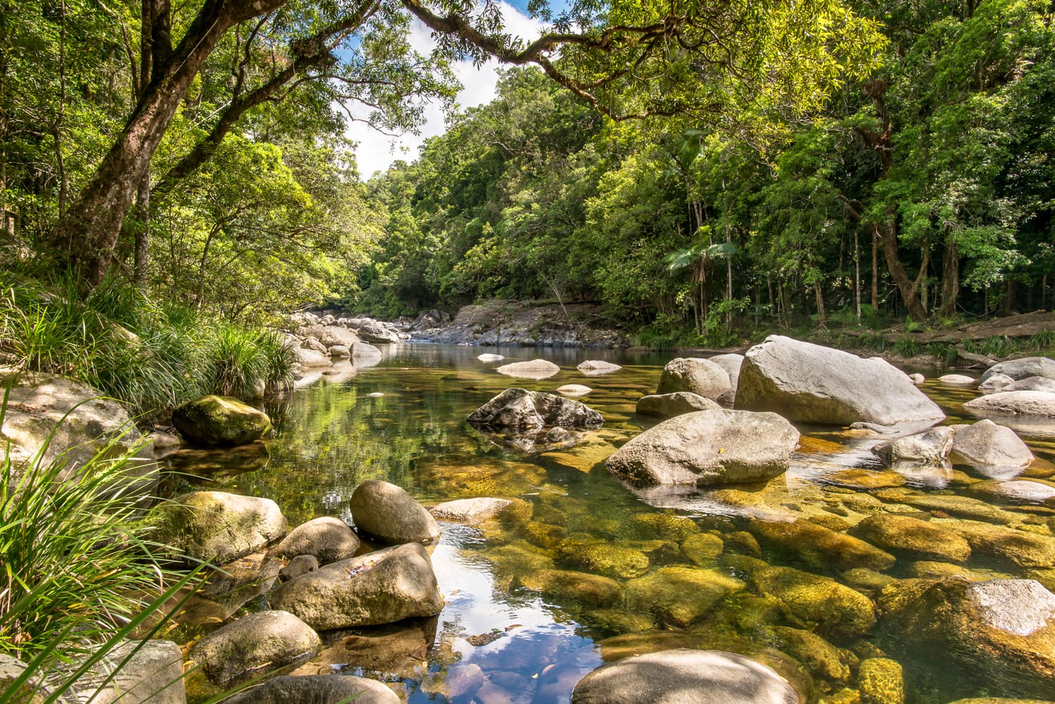 Mossman River Lookout, in the Mossman Gorge, in the Daintree National Park, Queensland, Australia.