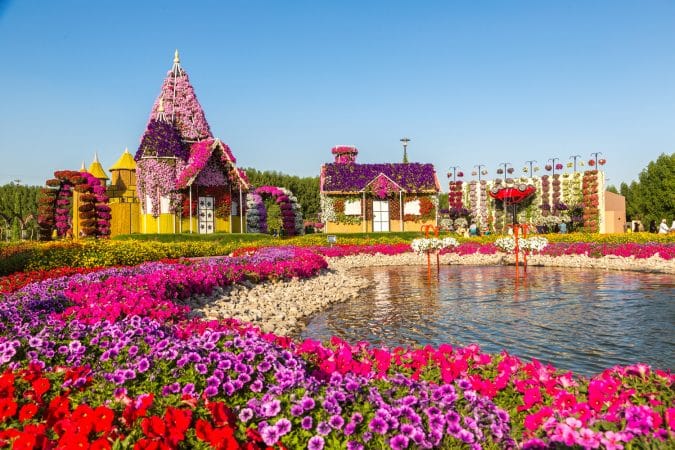 Miracle gardens in Dubai, UAE