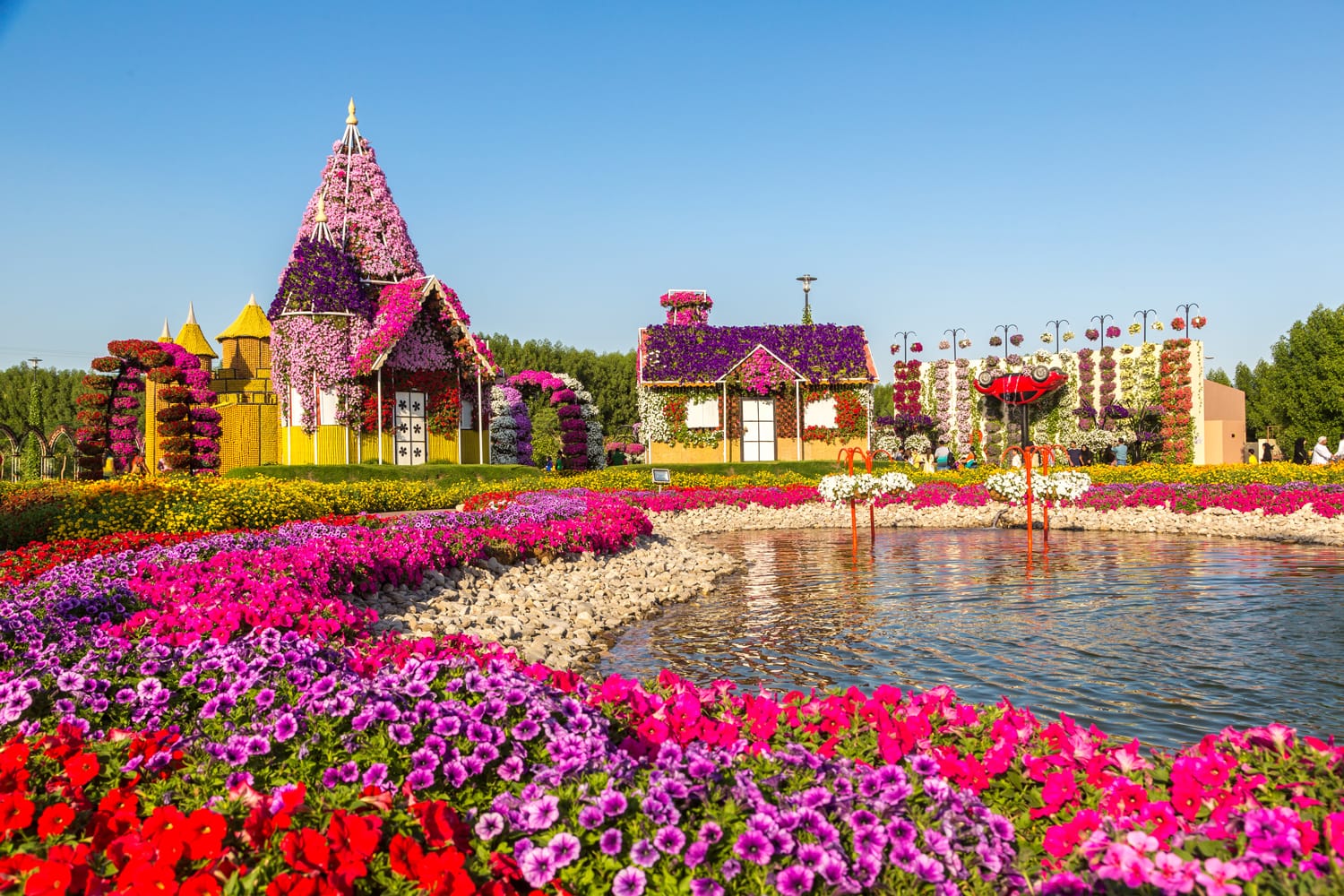 Miracle gardens in Dubai, UAE