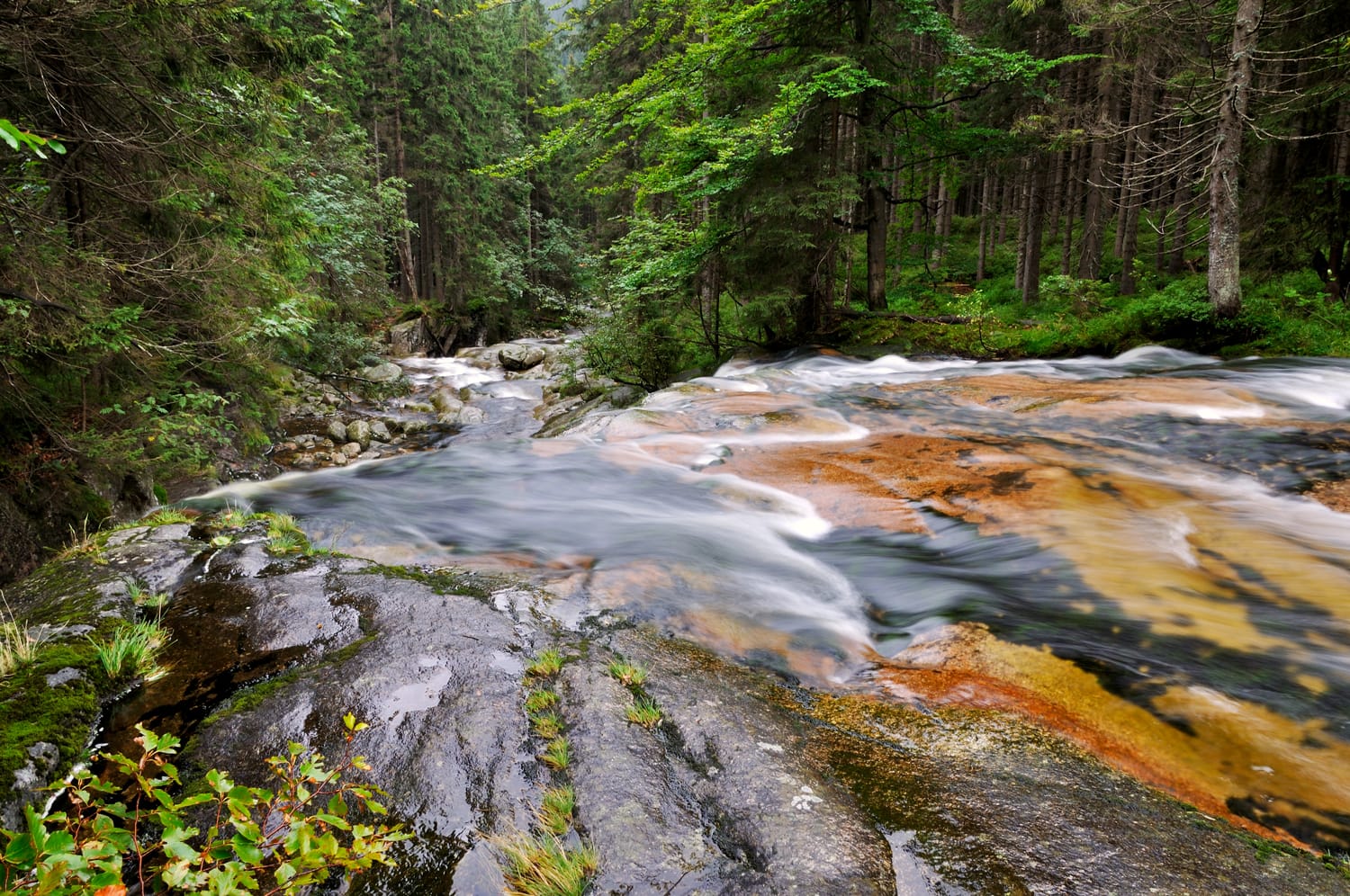 The river Elbe in the national park Krkonose in the Czech Republic