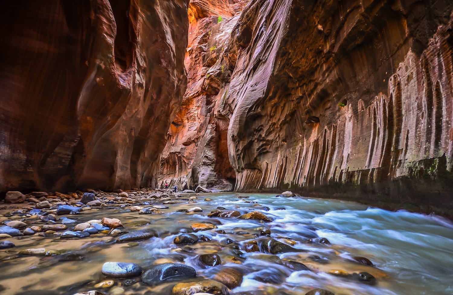 Amazing landscape of canyon in Zion National Park, The Narrow