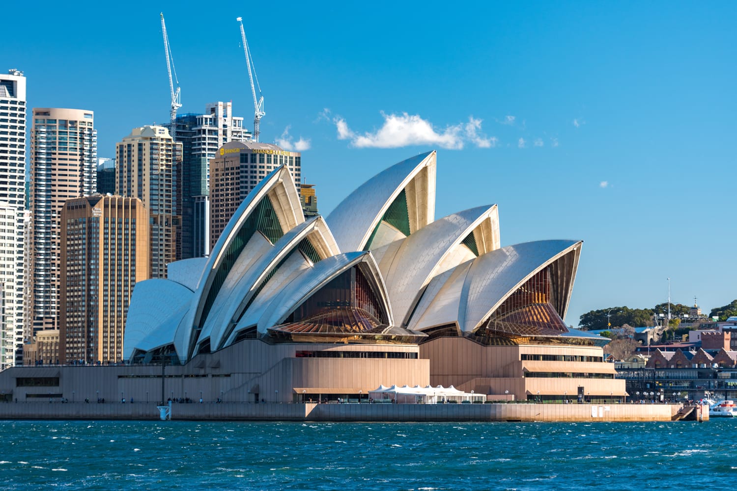 Sydney Opera house close up with office buildings of Sydney Central Business District on the background. Circular Quay, Sydney Harbour