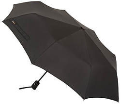 AmazonBasics Travel Umbrella