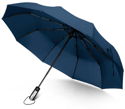 Rainlax Travel Windproof Umbrella