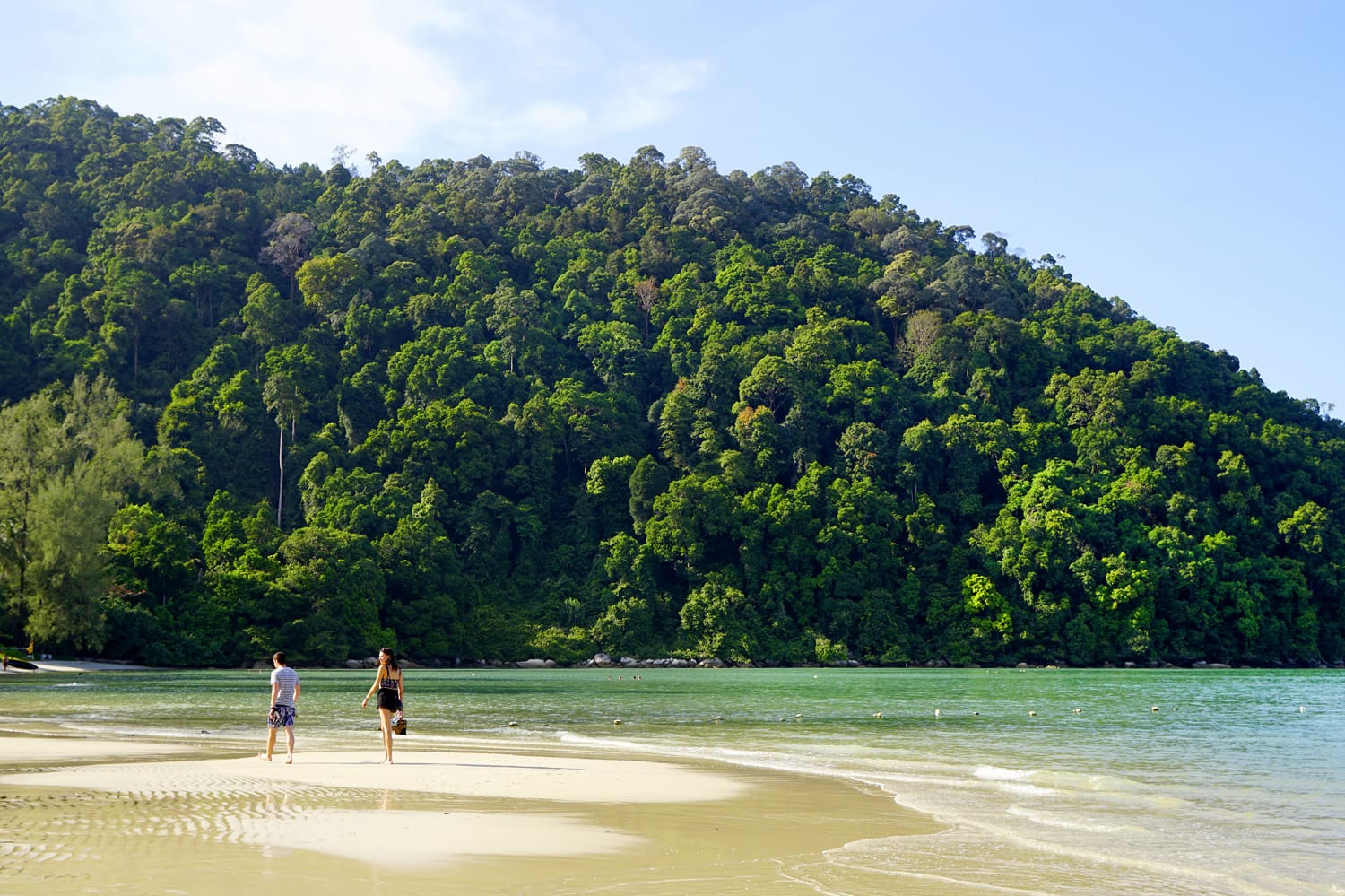 Monkey Beach on Penang Island, Malaysia