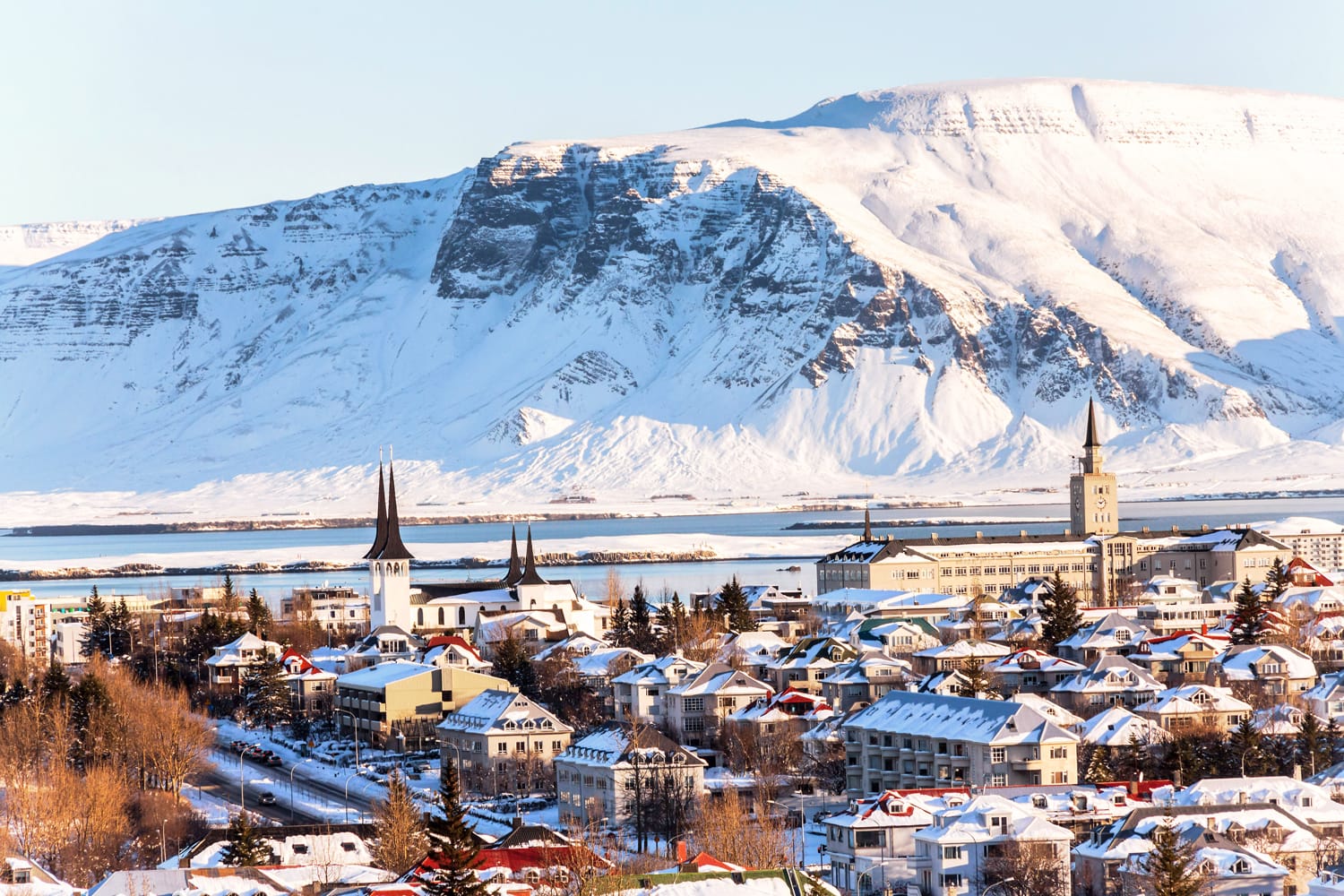 Reykjavik city view of Hallgrimskirkja, Iceland