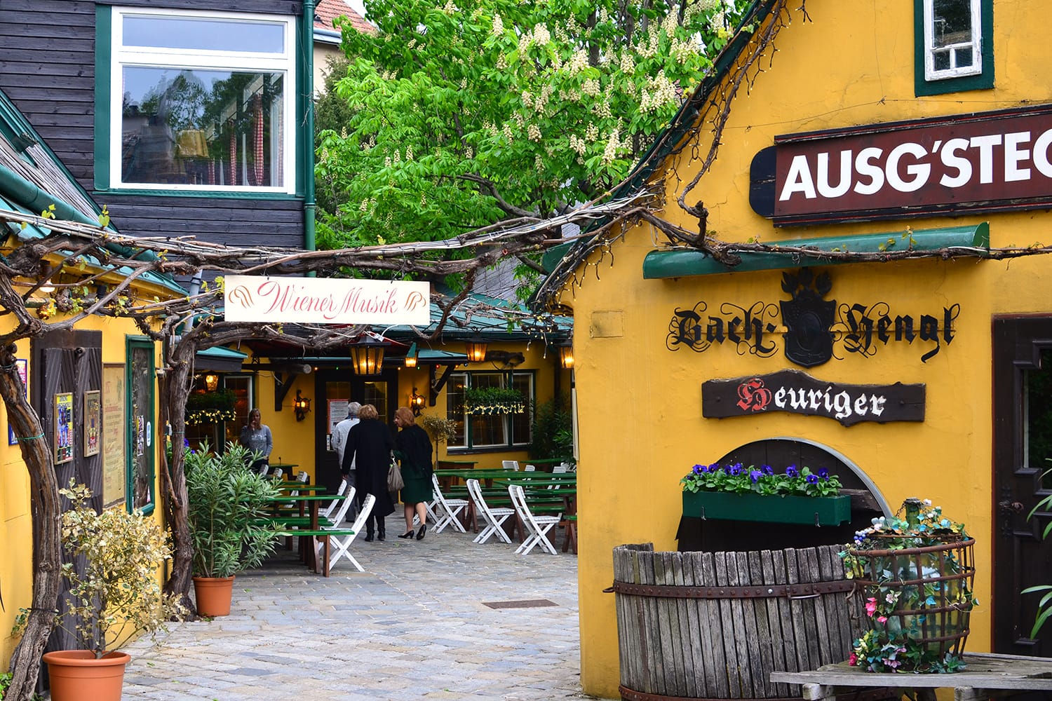 Village of Grinzing in Vienna, Austria in early morning light. Grinzing is a famous vinemaker village.
