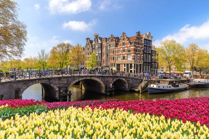 Amsterdam city skyline at canal waterfront with spring tulip flower, Amsterdam, Netherlands