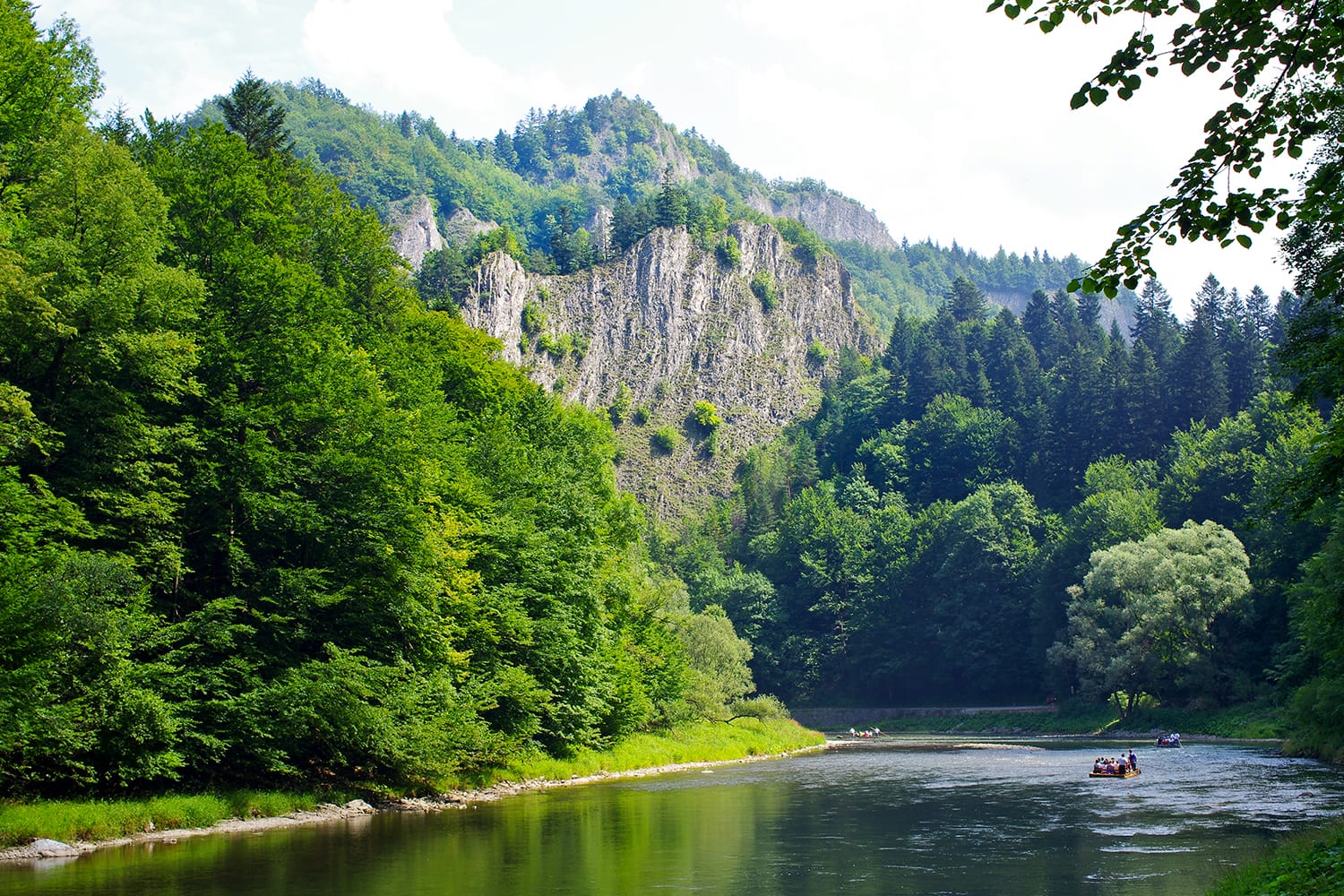 Dunajec river in Pieniny mountains - Poland