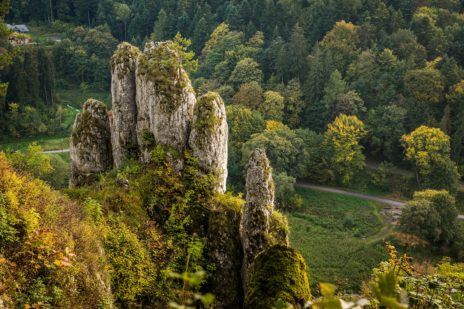 Rock "glove" in Ojcow National Park, Silesia, Poland