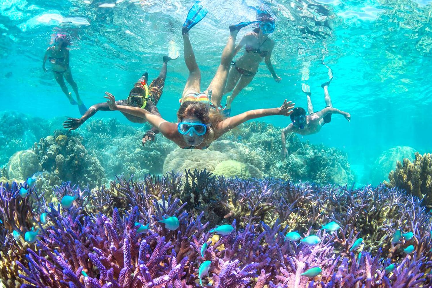 Snorkeling in New Caledonia