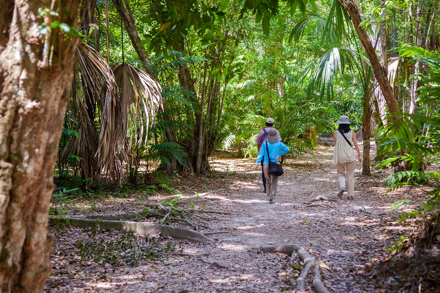 Tourist walking in Tikal, Guatemala