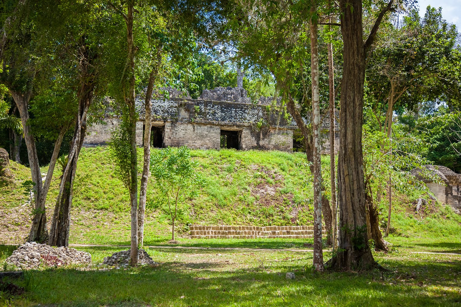 Structure at the Plaza of the Seven Temples, Tikal Guatemala