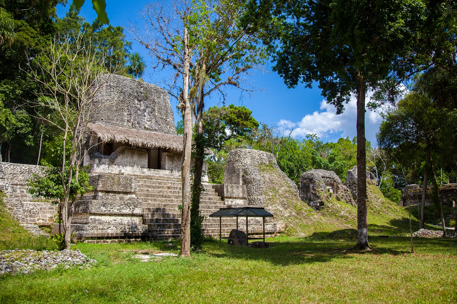 Structure 5D-96, the largest of the temples on the Plaza of The Seven temples, Tikal Peten, Guatemala