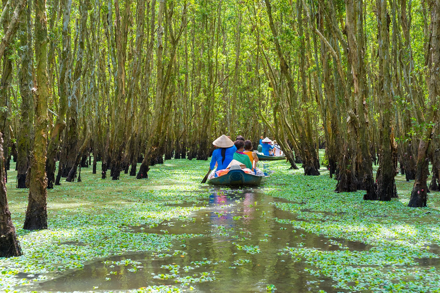 Tourists rowing boat in Mekong delta, Vietnam