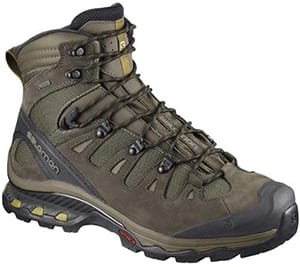 Salomon Quest 4D 3 GTX Hiking Boots