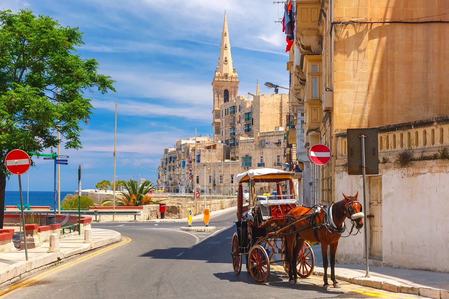 Horse carriage on the street of old town and St. Paul's Anglican Pro-Cathedral in Valletta, Malta