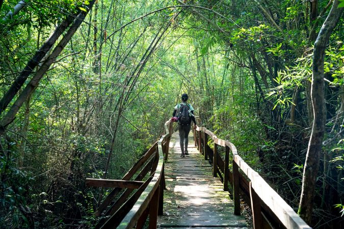 Nam Cat Tien National Park, Dong Nai Province, Vietnam