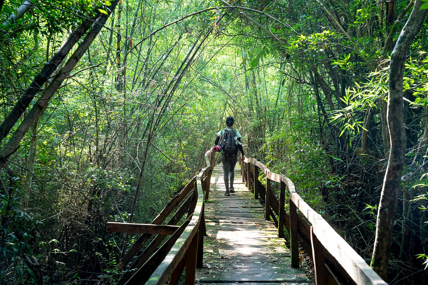 Nam Cat Tien National Park, Dong Nai Province, Vietnam