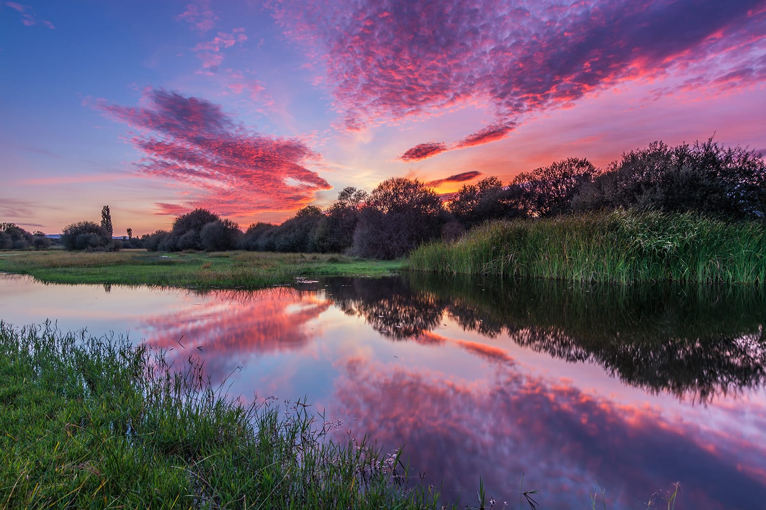 Sunset at Comana Nature Park in Romania